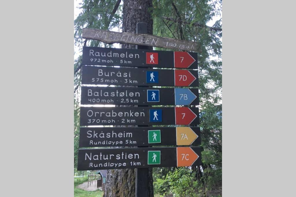 Balestrand Fjordapartments Holmen 19A Eksteriør billede