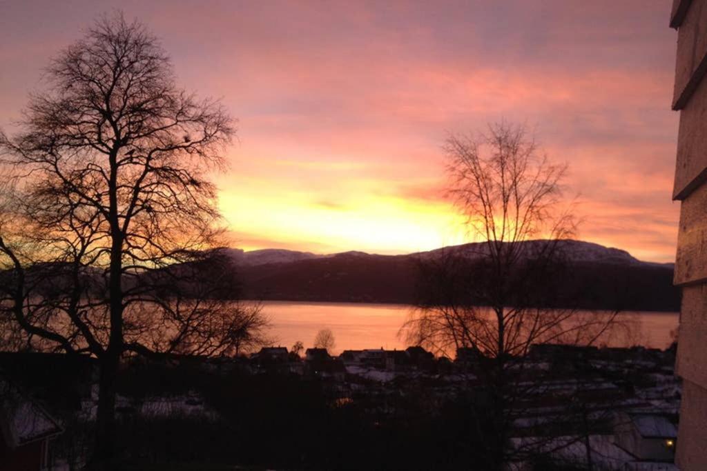 Balestrand Fjordapartments Holmen 19A Eksteriør billede